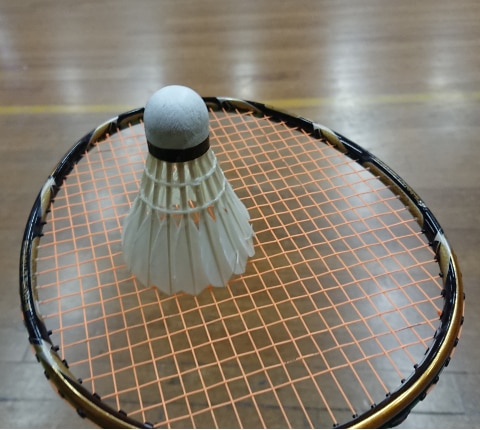 Hasseman - Badminton. Världens snabbaste sport.