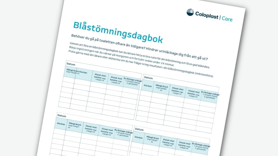 <h1><span style="font-size:30px"><strong>Blåstömningsdagbok</strong></span></h2>