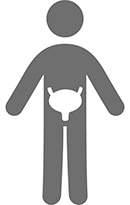 bladder icon