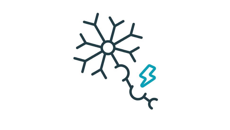 <h2><span style="font-size:30px"><strong>Multipel skleros, MS</strong></span></h2>



