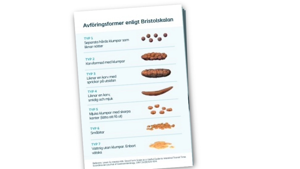 <h1><span style="font-size:30px"><strong>Bristolskalan</strong></span></h1>